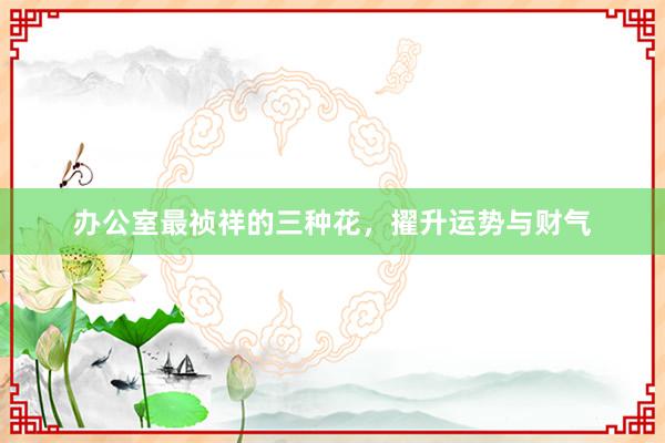 办公室最祯祥的三种花，擢升运势与财气