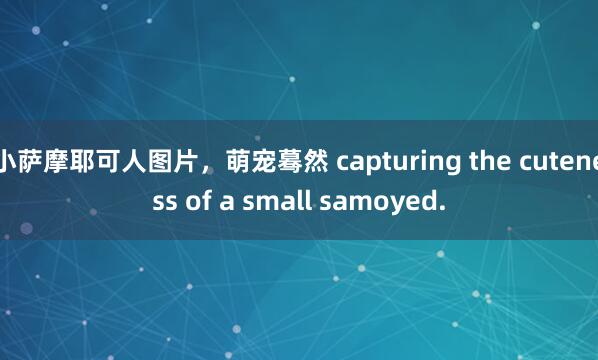 小萨摩耶可人图片，萌宠蓦然 capturing the cuteness of a small samoyed.