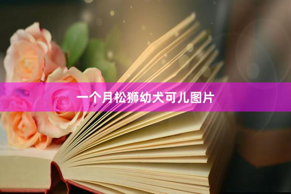 一个月松狮幼犬可儿图片